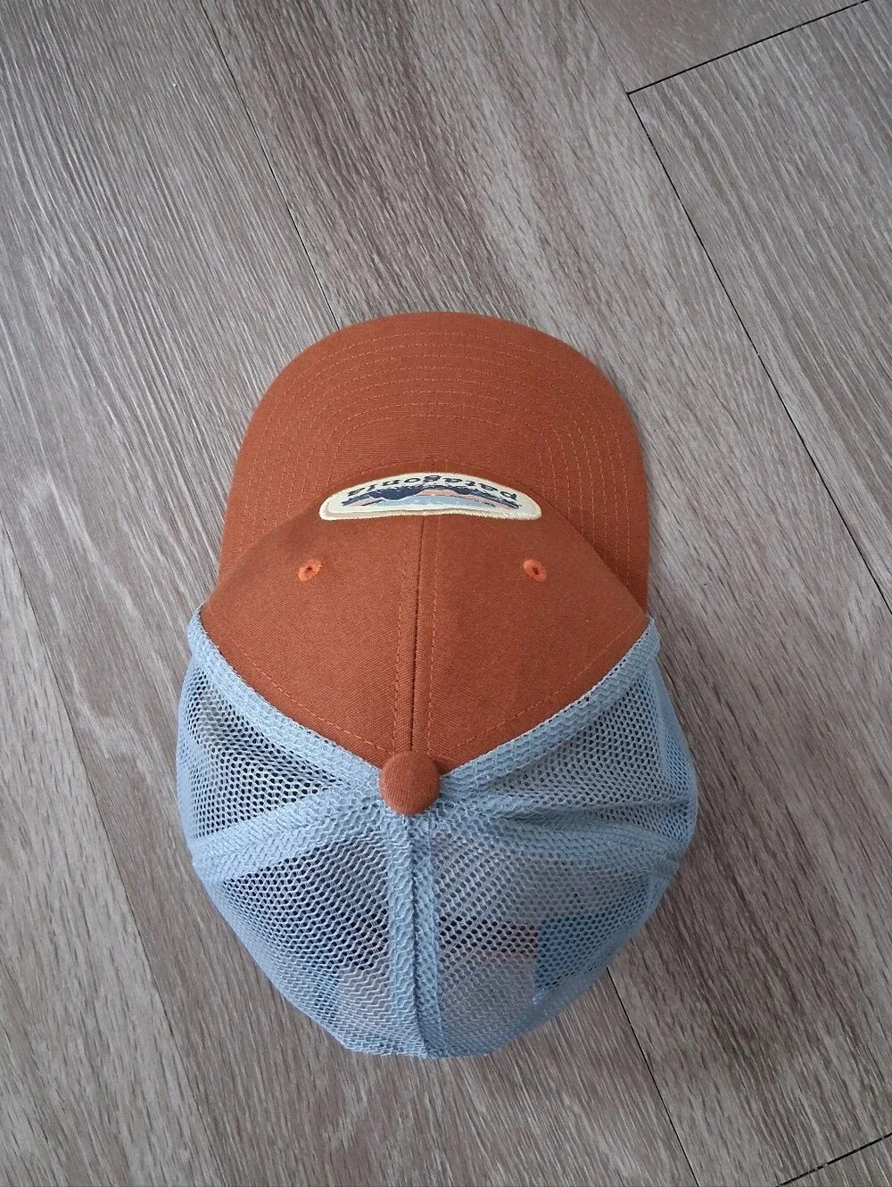 Patagonia Kid's Trucker Hat Skyline Stencil Robin Brown